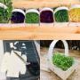 Prague Microgreens Farm s.r.o.