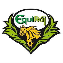 EquiRáj - přeprava koní