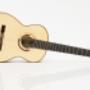 Pražan Guitars