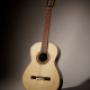 Pražan Guitars