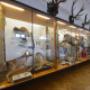 Muzeum lesnictví, myslivosti a rybářství – zámek Ohrada