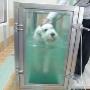 Veterinář Vyškov