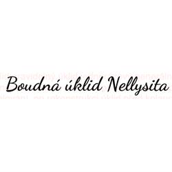 Úklid Nellysita