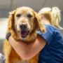 Veterinární ordinace MH