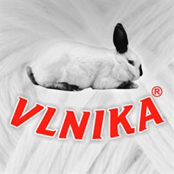 Vlnika