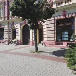 Pohřební Služba - Omega