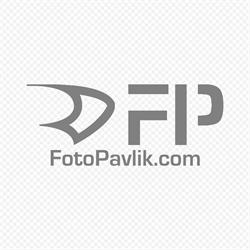 FotoPavlik