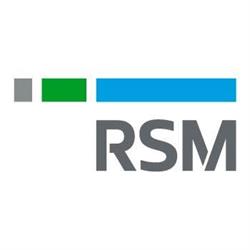 RSM CZ a.s.