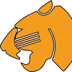 Pneu Tiger - AUTOSERVIS