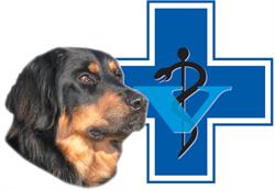 Veterinární ordinace Tišnov - SANOVET