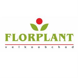 Florplant s.r.o.