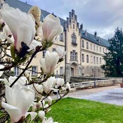 EA Zámecký Hotel Hrubá Skála