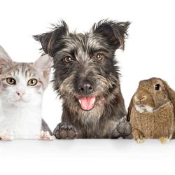 Veterinární klinika MONÁDA