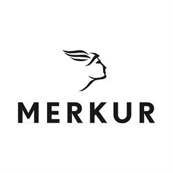 Hotel Merkur