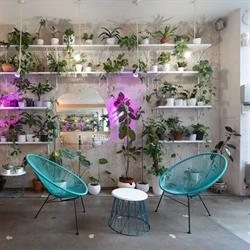 Mistral café