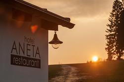 Aneta Hotel & Restaurant