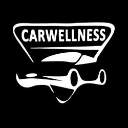 Carwellness