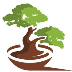 Bonsai-shop.cz