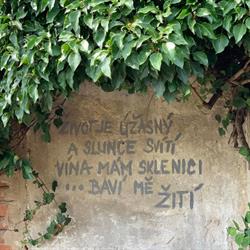 Vinotéka Ve Dvoře