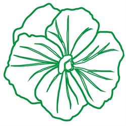 VariFlor s.r.o.