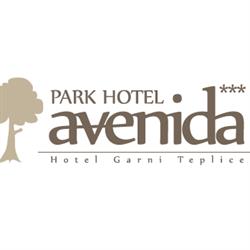 Avenida Park Hotel