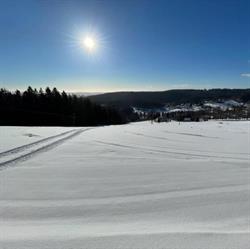 Košťálka