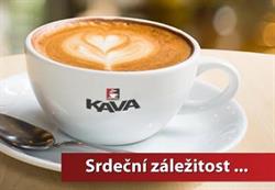 Cafe Kava