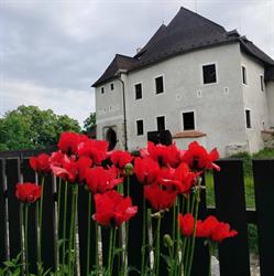 Hrad Nové Hrady