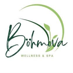 Wellness Böhmova, Sauna