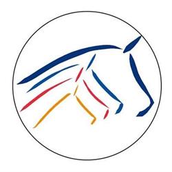 Veterinární klinika Heřmanův Městec