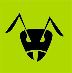 UltraAnt Climbing Club
