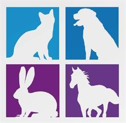 Veterinární Klinika Chomutov s.r.o.