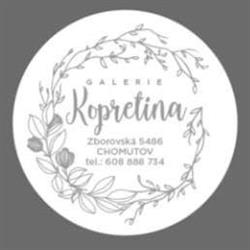 Galerie Kopretina Chomutov
