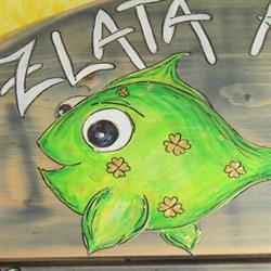 Zlatá rybka