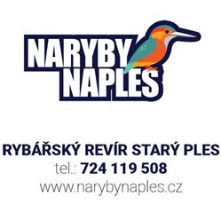 Rybářský revír Starý Ples - NARYBYNAPLES