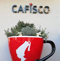 kavárna cafisco