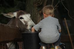 Jezdecká školička Pony Park