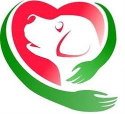 Dog's Health - Fyzioterapie a rehabilitace psů