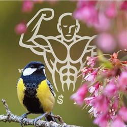 Fitness Factory
