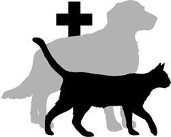Veterinární ordinace ARGO