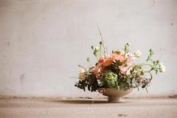La Plevela