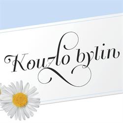 Kouzlobylin