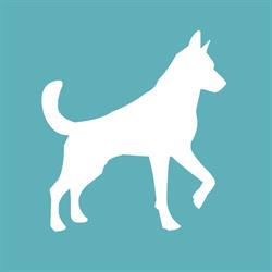 Dogpoint