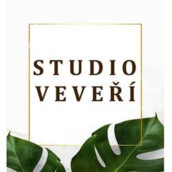 Studio Veveří