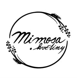 Mimosa.květiny
