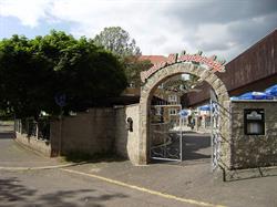 Pivnice U Krokodýla