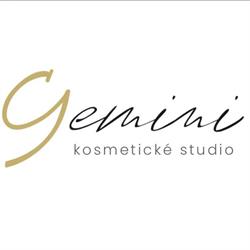 studio Gemini