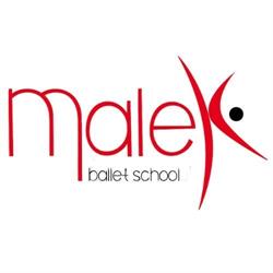 Malex Ballet School