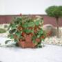 # 7