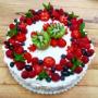 dort Pavlova